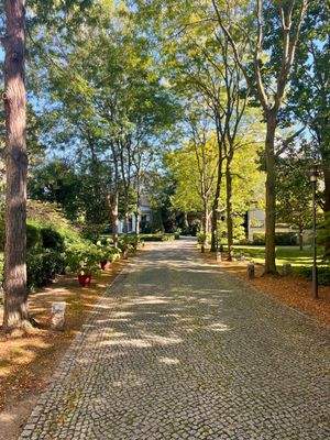 Parkähnliche Anlage