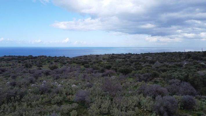 Kreta, Kokkino Chorio: Grundstück in ruhiger Lage mit Meerblick zu verkaufen