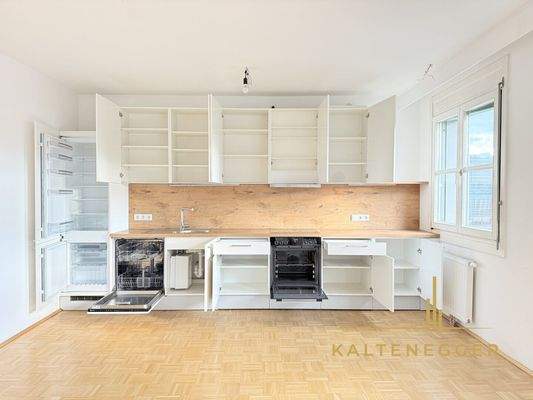 DAN Küche mit Siemens Geräten