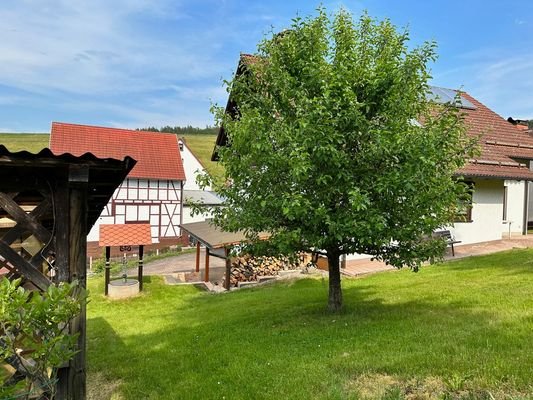 schöner Garten 