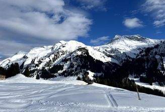 Baugrund Lech Kaufen (3)