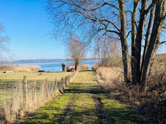 Blick zum Kleinen Jasmunder Bodden.jpeg