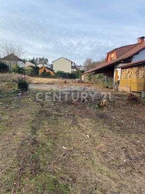 Sicht auf hinteres Ende