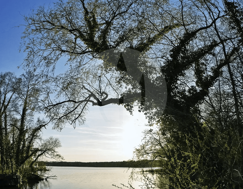 Schwielowsee Grundstücke, Schwielowsee Grundstück kaufen