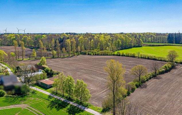 Den Wald vor der Tür