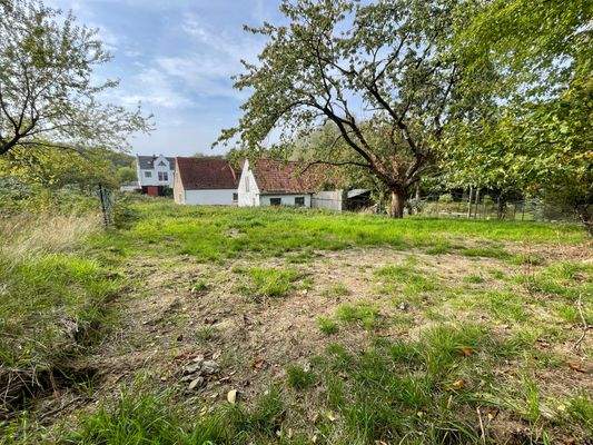 Grundstück mit Blick auf den Schuppen
