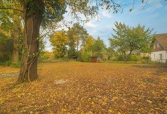 Bezaubernder Herbsteindruck