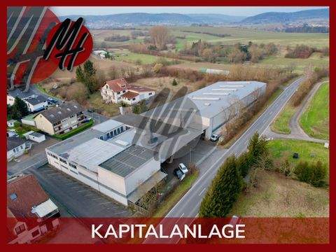 Langenselbold Halle, Langenselbold Hallenfläche