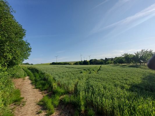 Ihr herrlicher Ausblick 