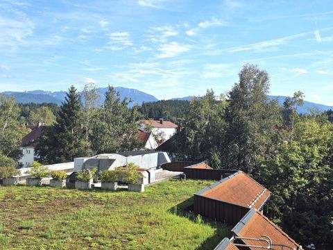 Penzberg Wohnungen, Penzberg Wohnung mieten