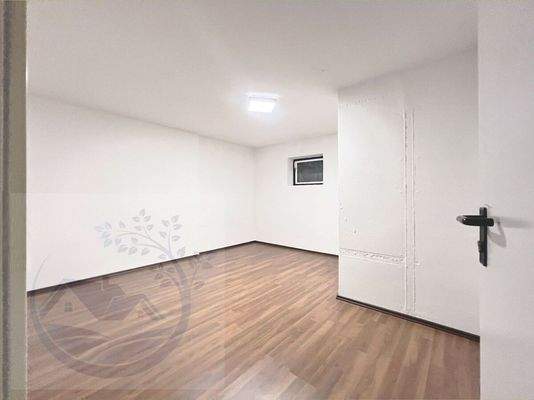 Untergeschoss:   großzügiger  Hobbyraum und Abstellen, UG