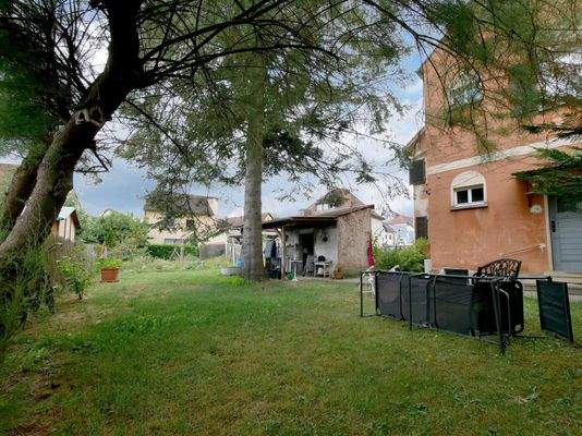 Gemeinschaftlicher Garten