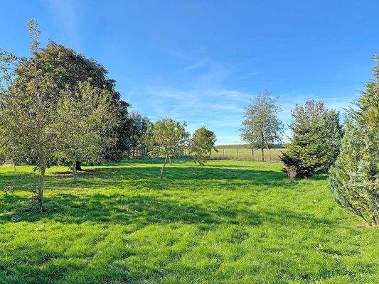 makellos Hofstelle Godow 26.jpg