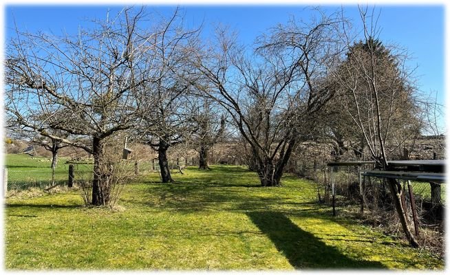 Obstgarten 2