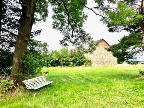 Rietz-Neuendorf Häuser, Rietz-Neuendorf Haus kaufen