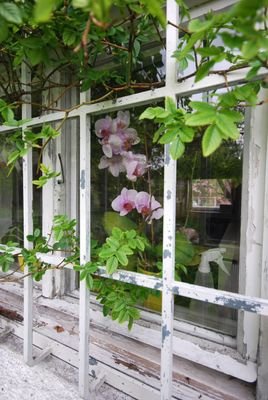 Fenster