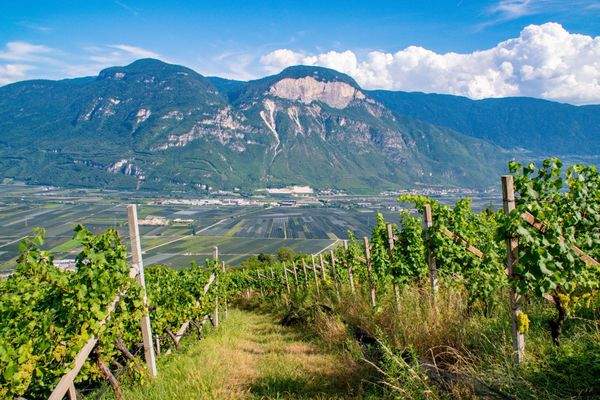 Ueberetsch - Unterland | Oltradige - Bassa Atesina