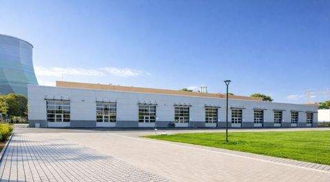 Dresden Halle, Dresden Hallenfläche