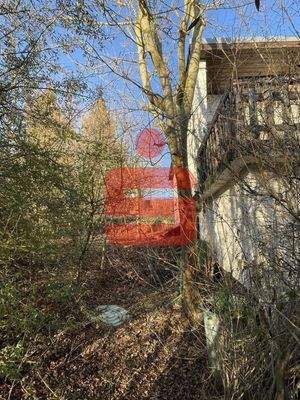 Grünstreifen Giebelseite