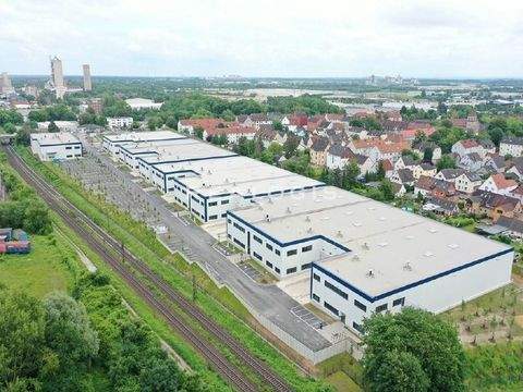 Hannover Halle, Hannover Hallenfläche