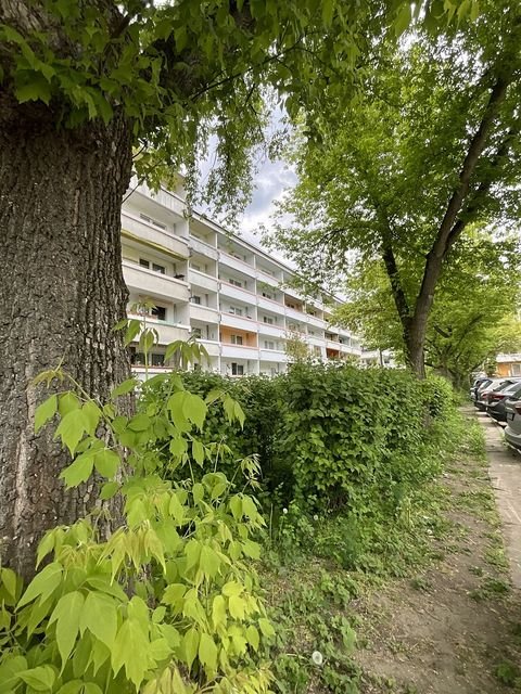 Dessau-Roßlau Wohnungen, Dessau-Roßlau Wohnung mieten