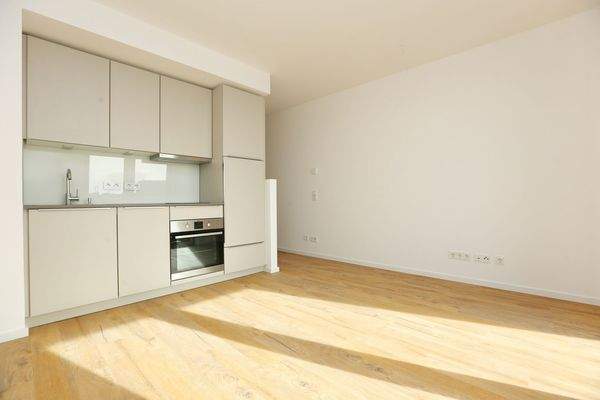 moderne Einbauküche