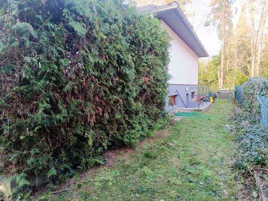 Zugang Wohnkeller_Souterrain