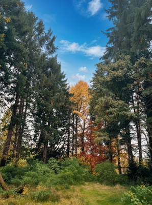 Blick aufs Grundstück