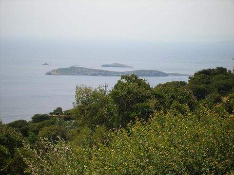 Kykladen Bauernhöfe, Landwirtschaft, Kykladen Forstwirtschaft