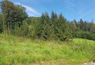 20200827_100934_resized_1