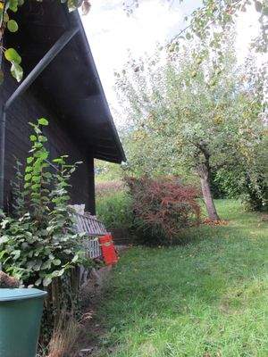 Ostseite des Haus mit Obstbäumen - Lederapel ....J