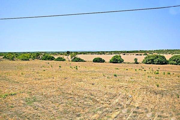 Finca-Grundstück kaufen mit Blick auf Cabrera