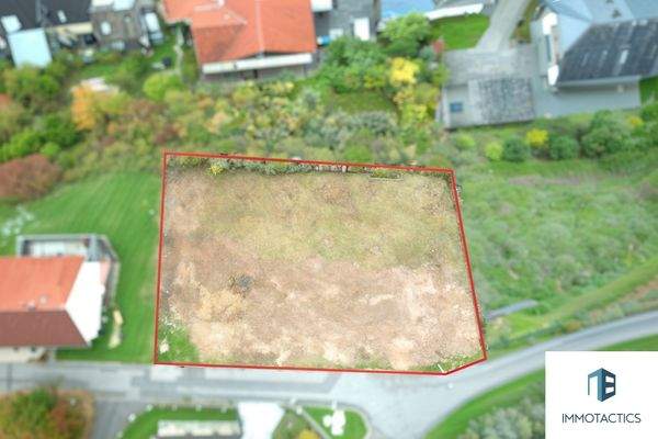 Drohnenbild  (KI generiert)