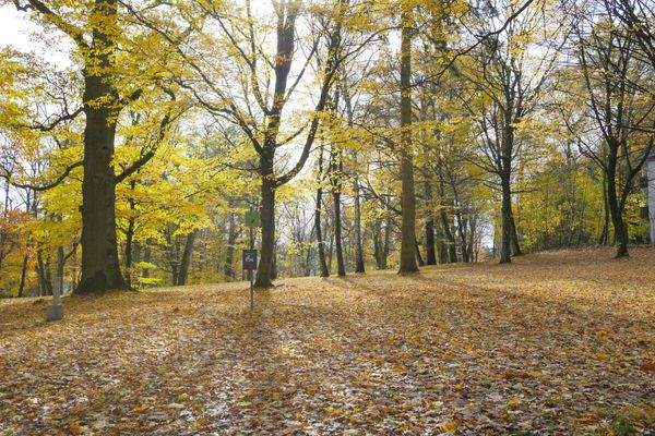 Spaziergang am Platnersberg