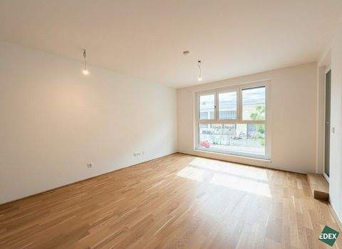Wien Wohnungen, Wien Wohnung mieten