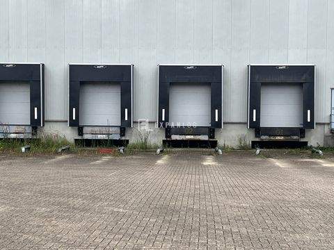 Haan Halle, Haan Hallenfläche