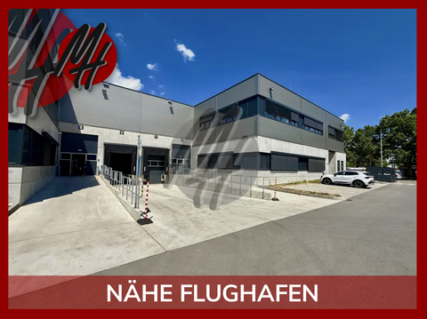 Langen Halle, Langen Hallenfläche