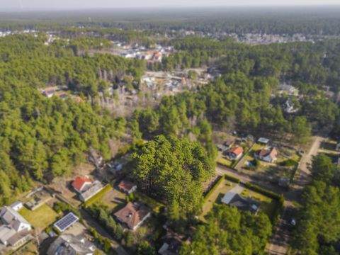 Borkwalde Bauernhöfe, Landwirtschaft, Borkwalde Forstwirtschaft