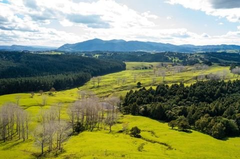 Whangarei Häuser, Whangarei Haus kaufen