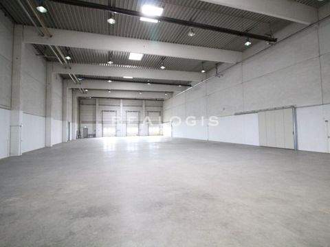 Ginsheim-Gustavsburg Halle, Ginsheim-Gustavsburg Hallenfläche