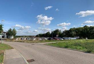 Freiflächen/Grundstück