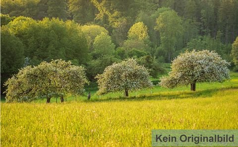 Wiesenttal Bauernhöfe, Landwirtschaft, Wiesenttal Forstwirtschaft