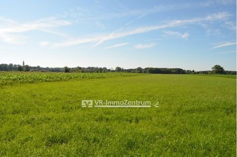 Weil Bauernhöfe, Landwirtschaft, Weil Forstwirtschaft