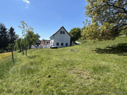 Große Wiese gegenüber vom Haus