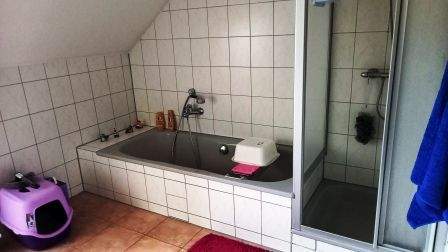 für Expossee 0129.jpg