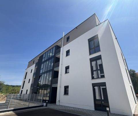 Heidenheim an der Brenz Wohnungen, Heidenheim an der Brenz Wohnung mieten