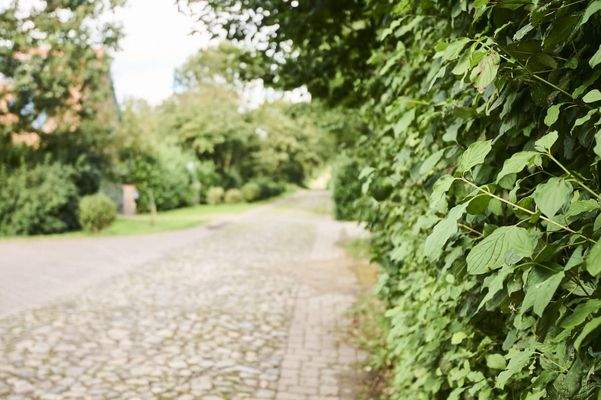 Charakter der Straße 