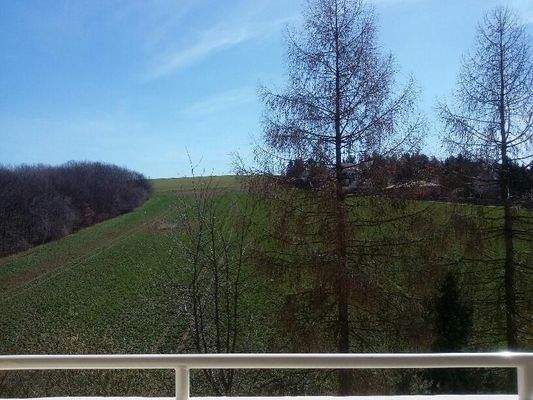 Balkonblick ins Grüne