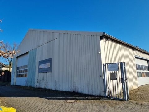Bad Iburg Halle, Bad Iburg Hallenfläche