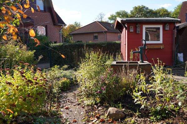 Garten mit Gartenhaus